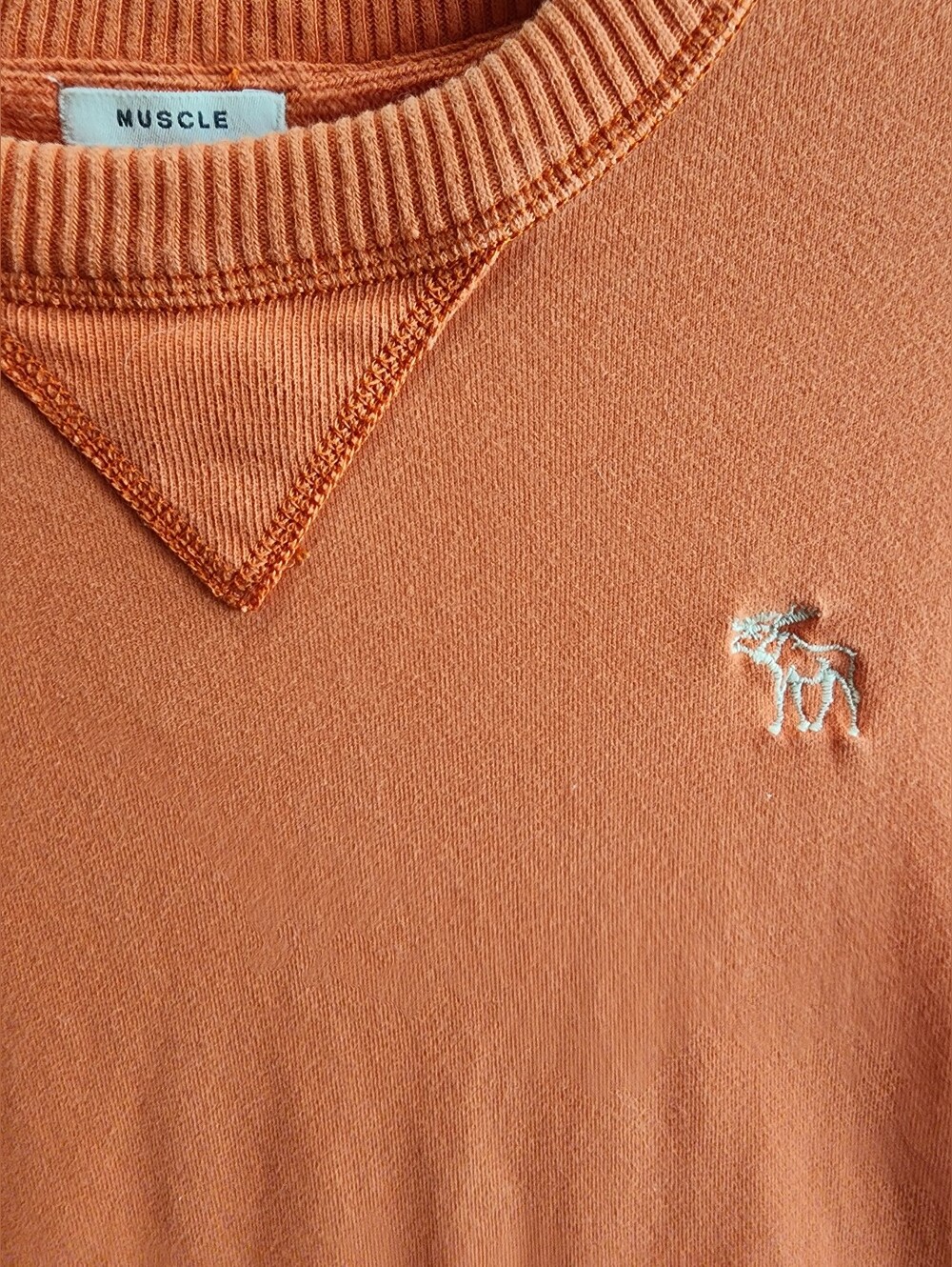 Abercrombie & Fitch Orange Cotton Long Sleeve Sweat Shirt SZ Large - Picture 3 of 8